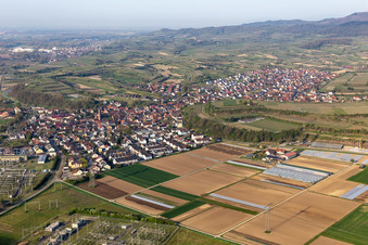 Vue aérienne de Eichstetten am Kaiserstuhl dans le département Bade-Wurtemberg, Allemagne
