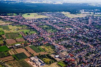 Vue aérienne de Vue de la ville depuis le nord-est à Haßloch dans le département Rhénanie-Palatinat, Allemagne