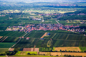 Vue aérienne de Vue de la ville depuis le sud à Gönnheim dans le département Rhénanie-Palatinat, Allemagne