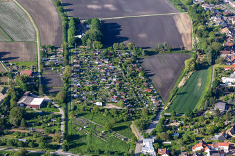 Vue aérienne de Association des jardins familiaux d'Almend à le quartier Eggenstein in Eggenstein-Leopoldshafen dans le département Bade-Wurtemberg, Allemagne
