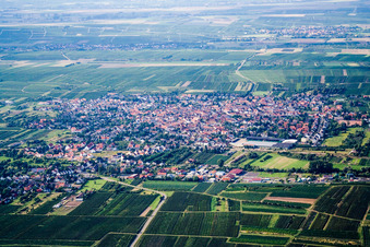 Vue aérienne de Du sud à Weisenheim am Sand dans le département Rhénanie-Palatinat, Allemagne