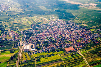 Vue aérienne de De l'est à Weisenheim am Sand dans le département Rhénanie-Palatinat, Allemagne