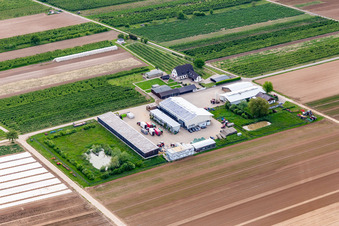 Vue aérienne de Le fermier à Winden dans le département Rhénanie-Palatinat, Allemagne