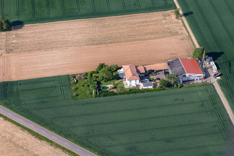 Vue aérienne de Domaine viticole Bioland Neuspergerhof à Rohrbach dans le département Rhénanie-Palatinat, Allemagne