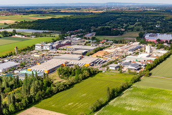 Vue aérienne de Centre de bricolage et de jardinage Hornbach à le quartier Dreihof in Bornheim dans le département Rhénanie-Palatinat, Allemagne
