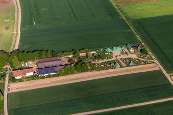 Vue aérienne de Chemin d'enceinte à Altdorf dans le département Rhénanie-Palatinat, Allemagne