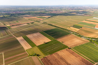Vue aérienne de Mecke - INFO : Aérodrome des Amis du Paramoteur du Palatinat à Meckenheim dans le département Rhénanie-Palatinat, Allemagne