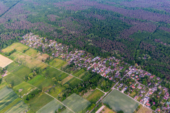Vue aérienne de En chasse de plaisance à le quartier Iggelheim in Böhl-Iggelheim dans le département Rhénanie-Palatinat, Allemagne