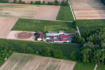 Vue aérienne de Damian GmbH à Gommersheim dans le département Rhénanie-Palatinat, Allemagne