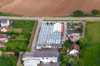 Vue aérienne de Weiherhof-Palatinat à Weingarten dans le département Rhénanie-Palatinat, Allemagne