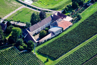 Vue aérienne de Corps de ferme d'un ancien moulin en bordure de champs cultivés à Großkarlbach dans le département Rhénanie-Palatinat, Allemagne