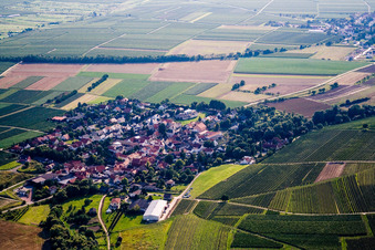 Vue aérienne de Village vu de l'est à Bissersheim dans le département Rhénanie-Palatinat, Allemagne