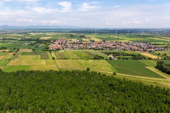 Minfeld dans le département Rhénanie-Palatinat, Allemagne vue du ciel