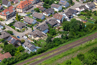 Dans la roseraie à Winden dans le département Rhénanie-Palatinat, Allemagne d'en haut