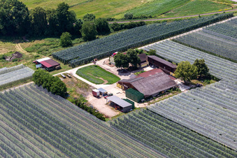 Vue oblique de Asperges et Obsthof Gensheimer à Steinweiler dans le département Rhénanie-Palatinat, Allemagne