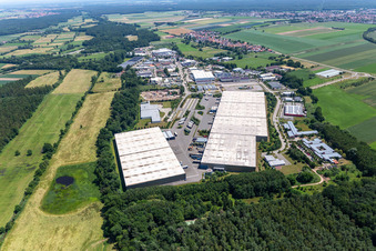 Vue aérienne de Thermo Fisher GmbH, groupe logistique ZUFALL - Filiale Kandel à le quartier Minderslachen in Kandel dans le département Rhénanie-Palatinat, Allemagne