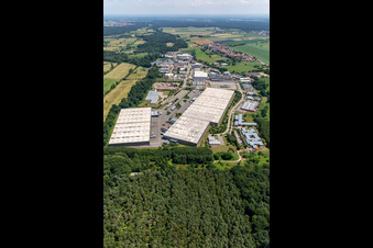 Vue aérienne de Thermo Fisher GmbH, groupe logistique ZUFALL - Filiale Kandel à le quartier Minderslachen in Kandel dans le département Rhénanie-Palatinat, Allemagne
