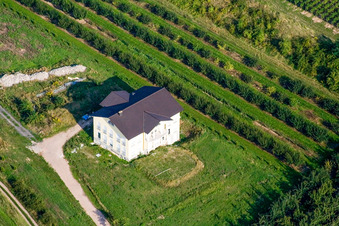 Vue aérienne de Rue Bissersheimer à Großkarlbach dans le département Rhénanie-Palatinat, Allemagne