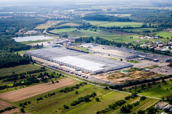 Vue aérienne de Goodyear du nord-est à Philippsburg dans le département Bade-Wurtemberg, Allemagne