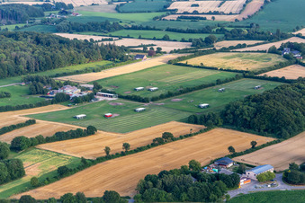 Westerholz/Dollerupholz