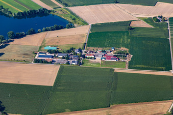Vue aérienne de Burgerhof, Jägerhof à Neupotz dans le département Rhénanie-Palatinat, Allemagne