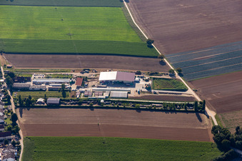 Vue aérienne de Kugelmann, agriculteur biologique à Kandel dans le département Rhénanie-Palatinat, Allemagne