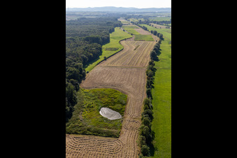 Vue aérienne de Biotope entre Flutgraben et Erlenbach à Steinweiler dans le département Rhénanie-Palatinat, Allemagne