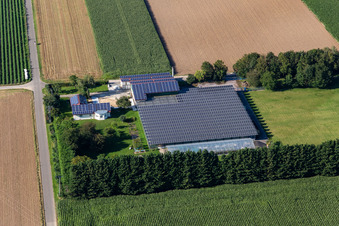 Vue aérienne de Steinweiler dans le département Rhénanie-Palatinat, Allemagne