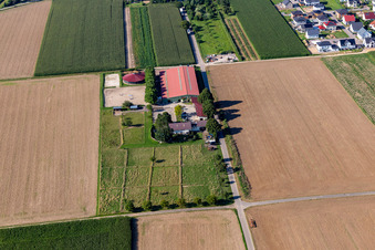 Centre équestre Fohlenhof à Steinweiler dans le département Rhénanie-Palatinat, Allemagne vue d'en haut