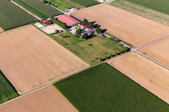 Centre équestre Fohlenhof à Steinweiler dans le département Rhénanie-Palatinat, Allemagne depuis l'avion