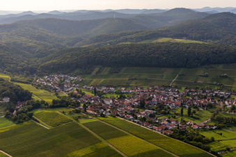Quartier Pleisweiler in Pleisweiler-Oberhofen dans le département Rhénanie-Palatinat, Allemagne depuis l'avion