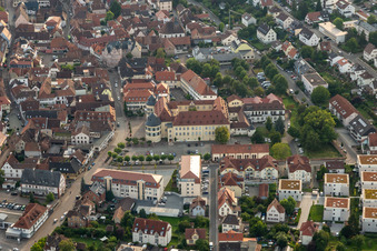 Vue aérienne de Château Bad Bergzabern à Bad Bergzabern dans le département Rhénanie-Palatinat, Allemagne