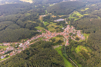 Vue aérienne de Schwanheim dans le département Rhénanie-Palatinat, Allemagne