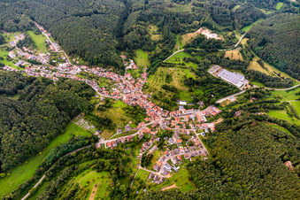 Vue aérienne de Centre du village composé de rues et de maisons et de zones résidentielles entourées de forêts et de bois à Schwanheim dans le département Rhénanie-Palatinat, Allemagne