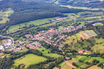 Photographie aérienne de Quartier Queichhambach in Annweiler am Trifels dans le département Rhénanie-Palatinat, Allemagne