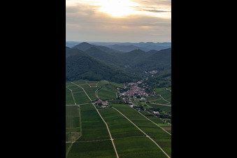 Photographie aérienne de Vignobles et paysages viticoles des régions viticoles à Leinsweiler dans le département Rhénanie-Palatinat, Allemagne