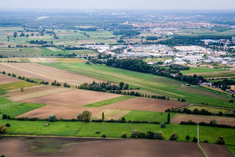 Vue aérienne de Aéroport à Hockenheim dans le département Bade-Wurtemberg, Allemagne