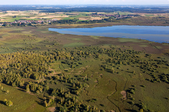 Vue aérienne de Zones riveraines de la région lacustre du Federsee à Bad Buchau dans le département Bade-Wurtemberg, Allemagne
