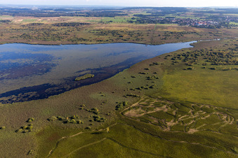 Vue aérienne de Lac Federsee à Bad Buchau dans le département Bade-Wurtemberg, Allemagne