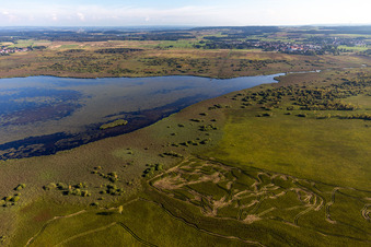 Photographie aérienne de Zones riveraines de la région lacustre du Federsee à Bad Buchau dans le département Bade-Wurtemberg, Allemagne