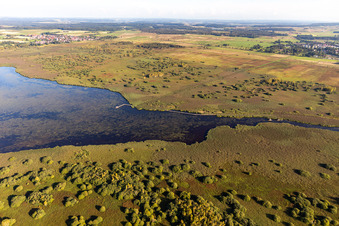Vue oblique de Zones riveraines de la région lacustre du Federsee à Bad Buchau dans le département Bade-Wurtemberg, Allemagne