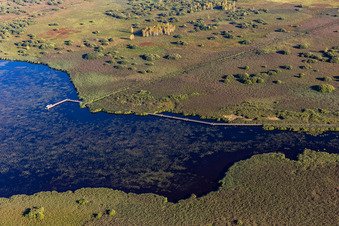 Zones riveraines de la région lacustre du Federsee à Bad Buchau dans le département Bade-Wurtemberg, Allemagne d'en haut