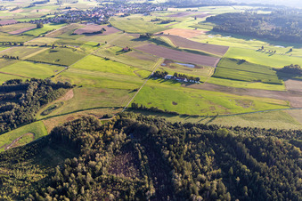 Vue aérienne de Aérodrome de sports et de vol à voile de Reute à le quartier Obermöllenbronn in Bad Waldsee dans le département Bade-Wurtemberg, Allemagne