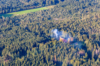 Vue aérienne de Maison du forestier sur Tannwaldweg à le quartier Tannweiler in Aulendorf dans le département Bade-Wurtemberg, Allemagne