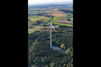 Bad Saulgau/Braunenweiler