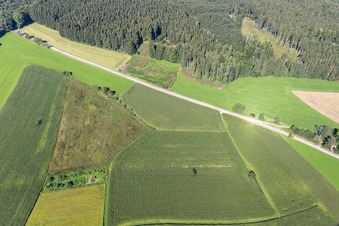 Vue aérienne de Quartier Wassers in Wolfegg dans le département Bade-Wurtemberg, Allemagne