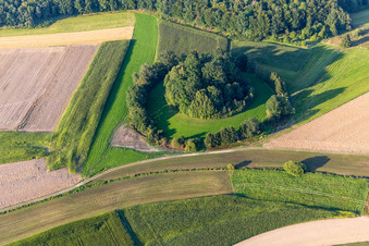 Vue aérienne de Île de la Forêt à le quartier Heudorf in Scheer dans le département Bade-Wurtemberg, Allemagne