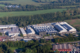 Vue aérienne de Sites d'usine de Linzmeier Bauelemente GmbH et FEINGUSS BLANK GmbH à le quartier Eichenau in Riedlingen dans le département Bade-Wurtemberg, Allemagne