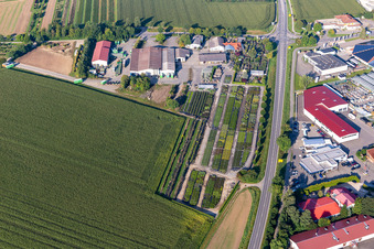 Vue aérienne de Pépinière Karl Schlegel oHG à le quartier Eichenau in Riedlingen dans le département Bade-Wurtemberg, Allemagne