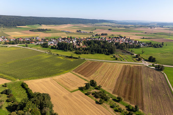 Riedlingen/Grüningen